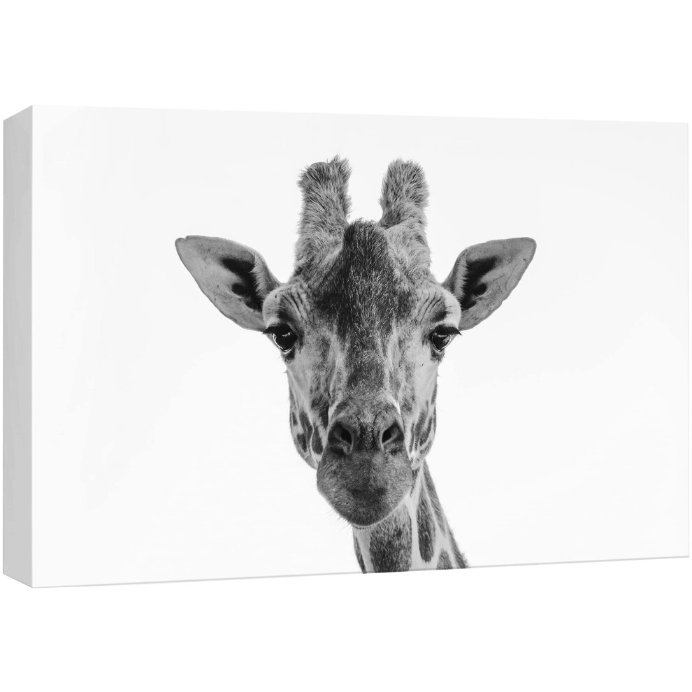 Impresi N En Lienzo De Signford, Arte De Pared Con Jirafa, Primer Plano, Retrato, Animales, Vida Silvestre, Fotograf A Realista, Elementos Decora-image