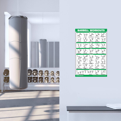 QUICKFIT Dumbbell Workouts and Barbell Exercise Poster Set - Laminated 1