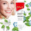(3pcs) Sp-6 Probiotic Toothpaste,sp-6 Toothpaste 2