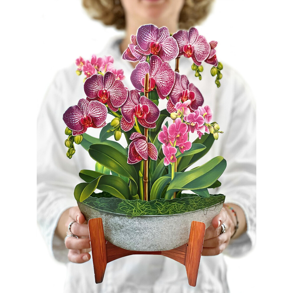 Dr. Vers Freshcut Paper Pop Up Cards, Orchid Oasis, 12 Inch Life Sized Forever Flower Bouquet 3D Popup Greeting Cards With Note Card And Envelope - Paper Hous
