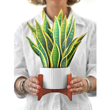 Cartes Pop Up Freshcut Paper, Plante Serpent, 12 Pouces Plantes Maison en Papier 3D