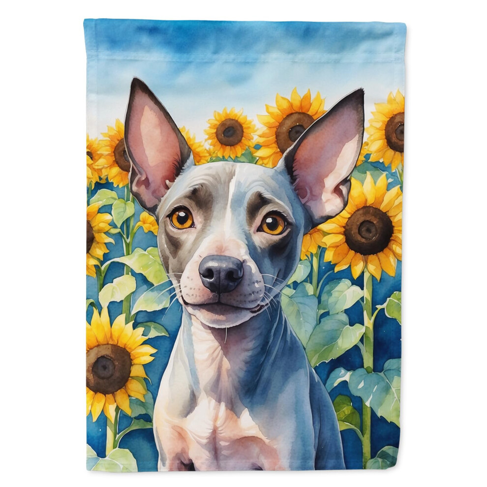 Caroline's Treasures Dac6010Chf American Earless Terrier In Sunflowers House Flag Duze Werandy Rekawie Dekoracyjne Na Zewnatrz Sztandaru Sztuki W-image