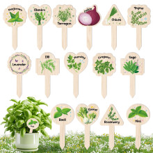 Juyrle Plant Eticheta- 15 pachete de plante de gradina Marcaje de gradina Etichete pentru gradina n aer liber, plante impermeabile, cu nume Etic