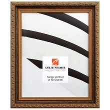 Craig Frames Regence 14x20 Picture Frame Amber Gold