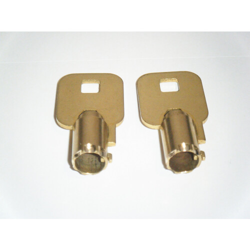 Sentry Safe Keys Code Cut de 2002 a 2050 Tubular Round Ace Key (2048)