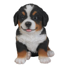 Statue de chiot bouvier bernois Hi-Line Gift Ltd
