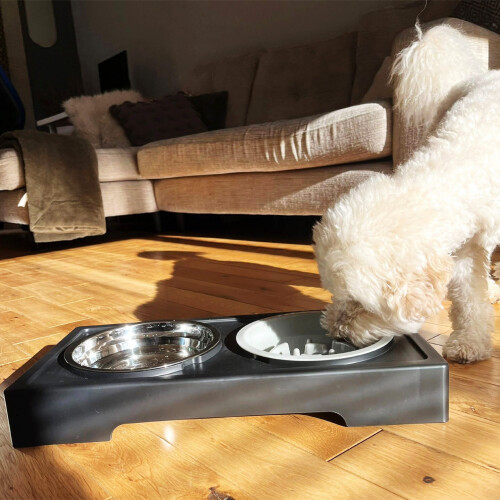HugglePets HugglePets Adjustable Pet Dog Double Diner with Slow Feeder 1