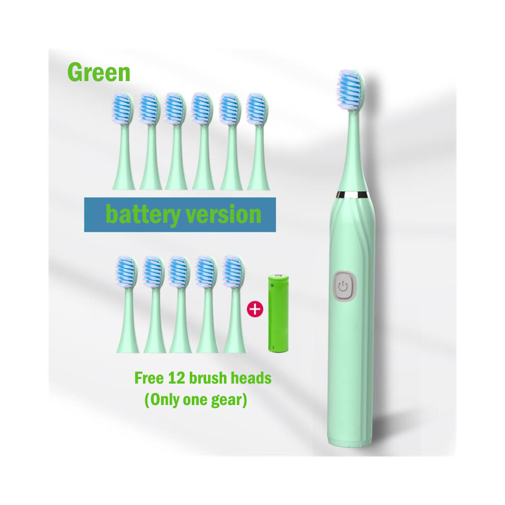 Electric Toothbrush IPX7 Waterproof Sonic Toothbrush Deep Clean Whitening DuPont Soft Bristles Large Button Vibration-image-OPC-PG9ZTFJ-NEW