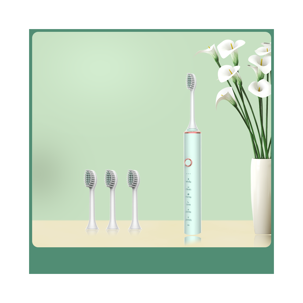 Maxpower N100 Adult Timer Brush 6 Modesonic Electric Toothbrush Usb Charger Rechargeable Tooth Brushes Replacement Heads