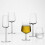 iittala 1008576 Essence samppanjalasisetti (2 kpl) 5