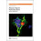 Polymer-Based Nanostructures 1
