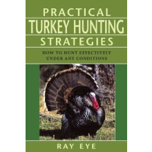 Practical Turkey Hunting Strategies