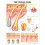 The Human Hair Anatomical Chart 1