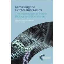 Mimicking the Extracellular Matrix