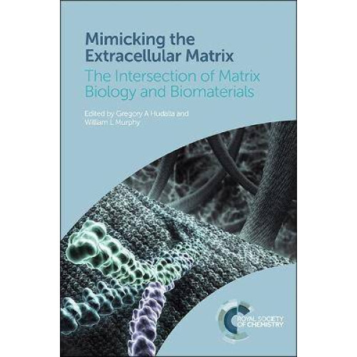 Mimicking the Extracellular Matrix