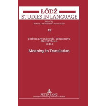 Meaning in Translation