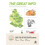 THE GREAT INFO 1