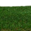 (2m, 1m) Durban 25mm Pet-Friendly Artificial Grass 15