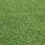 (2m, 8m) Durban 25mm Pet-Friendly Artificial Grass 9