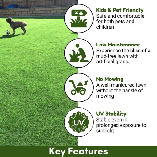 (4m, 2m) Durban 25mm Pet-Friendly Artificial Grass 2