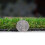 (4m, 6m) Durban 25mm Pet-Friendly Artificial Grass 12