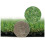 (4m, 9m) Durban 25mm Pet-Friendly Artificial Grass 1