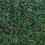 (4m, 9m) Durban 25mm Pet-Friendly Artificial Grass 13