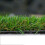 (4m, 9m) Durban 25mm Pet-Friendly Artificial Grass 14