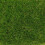 (2m, 3m) Boundary 30mm Plush Premium Artificial Grass 7