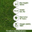 (2m, 6m) Boundary 30mm Plush Premium Artificial Grass 5