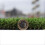 (2m, 6m) Boundary 30mm Plush Premium Artificial Grass 12