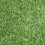 (4m, 6m) Boundary 30mm Plush Premium Artificial Grass 13