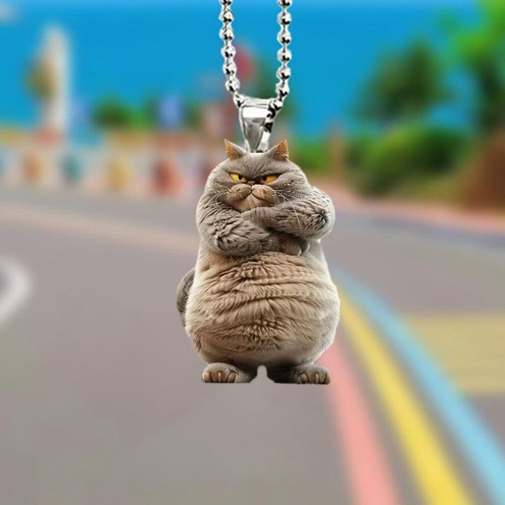 (as the picture) New product creative big fat cat flat 2D car rearview mirror pendant keychain pendant