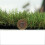 (4m, 4m) Promo 40mm Pet-Friendly Fake Artificial Grass 5