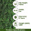 (4m, 5m) Promo 40mm Pet-Friendly Fake Artificial Grass 6