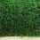 (4m, 5m) Promo 40mm Pet-Friendly Fake Artificial Grass 7