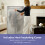 High Street TV Spring & Spruce Dry Master 9