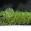 (2m, 8m) Promo 35mm Non-Slip Artificial Grass For Lawn 4
