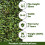 (2m, 8m) Promo 35mm Non-Slip Artificial Grass For Lawn 5