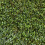 (2m, 8m) Promo 35mm Non-Slip Artificial Grass For Lawn 6