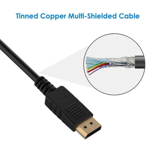 Καλώδιο DisplayPort (DP) σε DVI, επίχρυσο, 6 πόδια 2