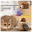 Sparrow Toy Simulated Bird Touch Sensing Interactive Cat 6
