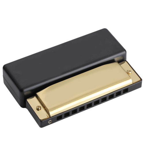 10 Hole Blues Harmonica C Key Instrument Educational Toy Gold