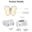 Butterfly Motion Sensor Night Light LED kaapin alla 2