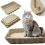 Φιλικό προς το περιβάλλον Φορητό Pet Kittens Litter Box Γάτα Κρεβατοθήκη Υγιεινής 3