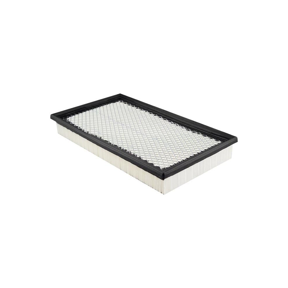 Baldwin Filters Pa5669 Cabin Air Panel Filters 791440091566