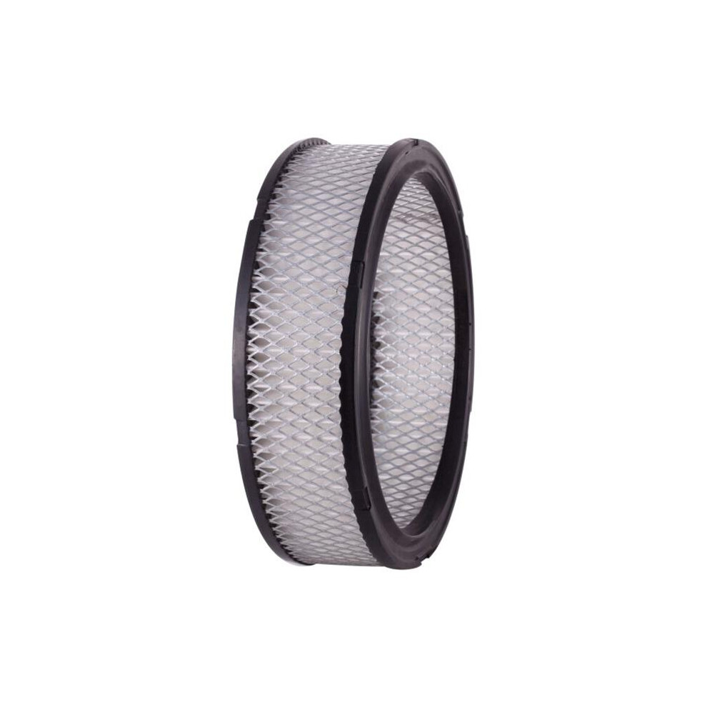 Pronto Filters Pa3380 Air Filter For 1985-1993 Chevrolet S10 846156002549