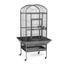 Prevue 34521 0.75 in. Dome Top Cage - Black - Medium