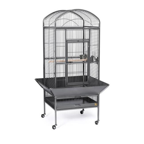 Prevue 34521 0.75 in. Dome Top Cage - Black - Medium