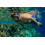 OCEAN REEF - Aria QR+ Μάσκα Σνόρκελ Γρήγορης Απελευθέρωσης - 180 Υποβρύχια Όραση - 5 Χρώματα 4